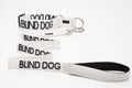 Blind Dog Lead and Collar