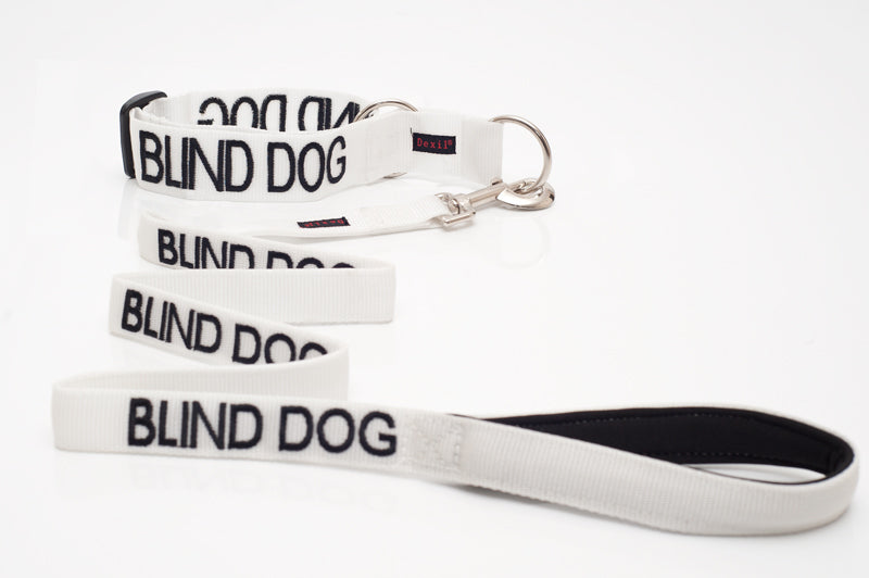 Blind Dog Lead and Collar