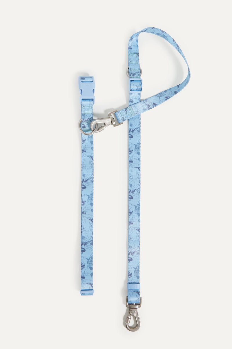 Bridgerton x maxbone Walk Set