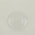 Glass Dinner Plate - Clear