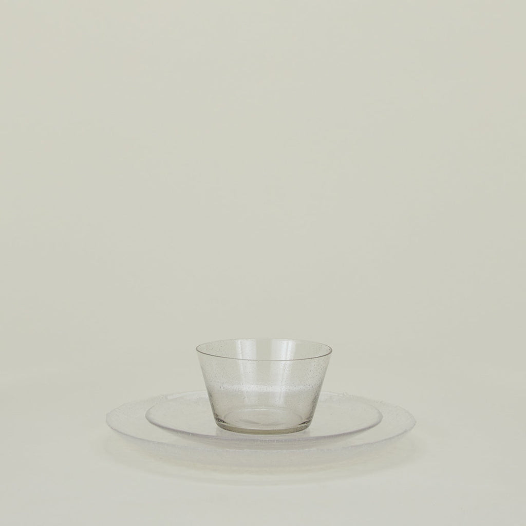 Glass Dinner Plate - Clear