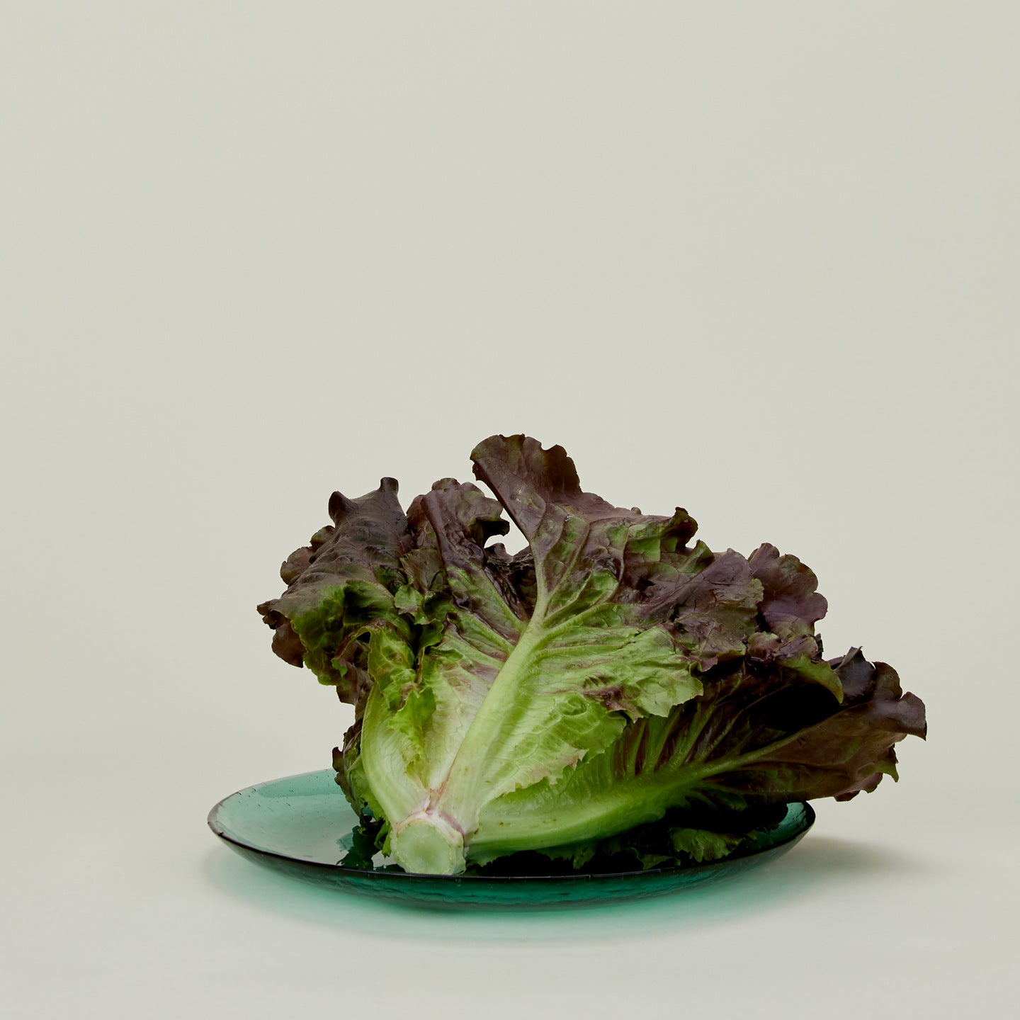 Glass Dinner Plate - Jade