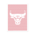 Chicago Bulls