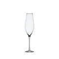 Cabernet Champagne Glass (Set of 6)
