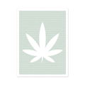 The Essential Cannabis Book: A Field Guide for the Curious