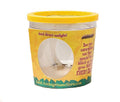 5 Live Caterpillar Refill for Butterfly Kits