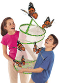 Classroom Butterfly Set