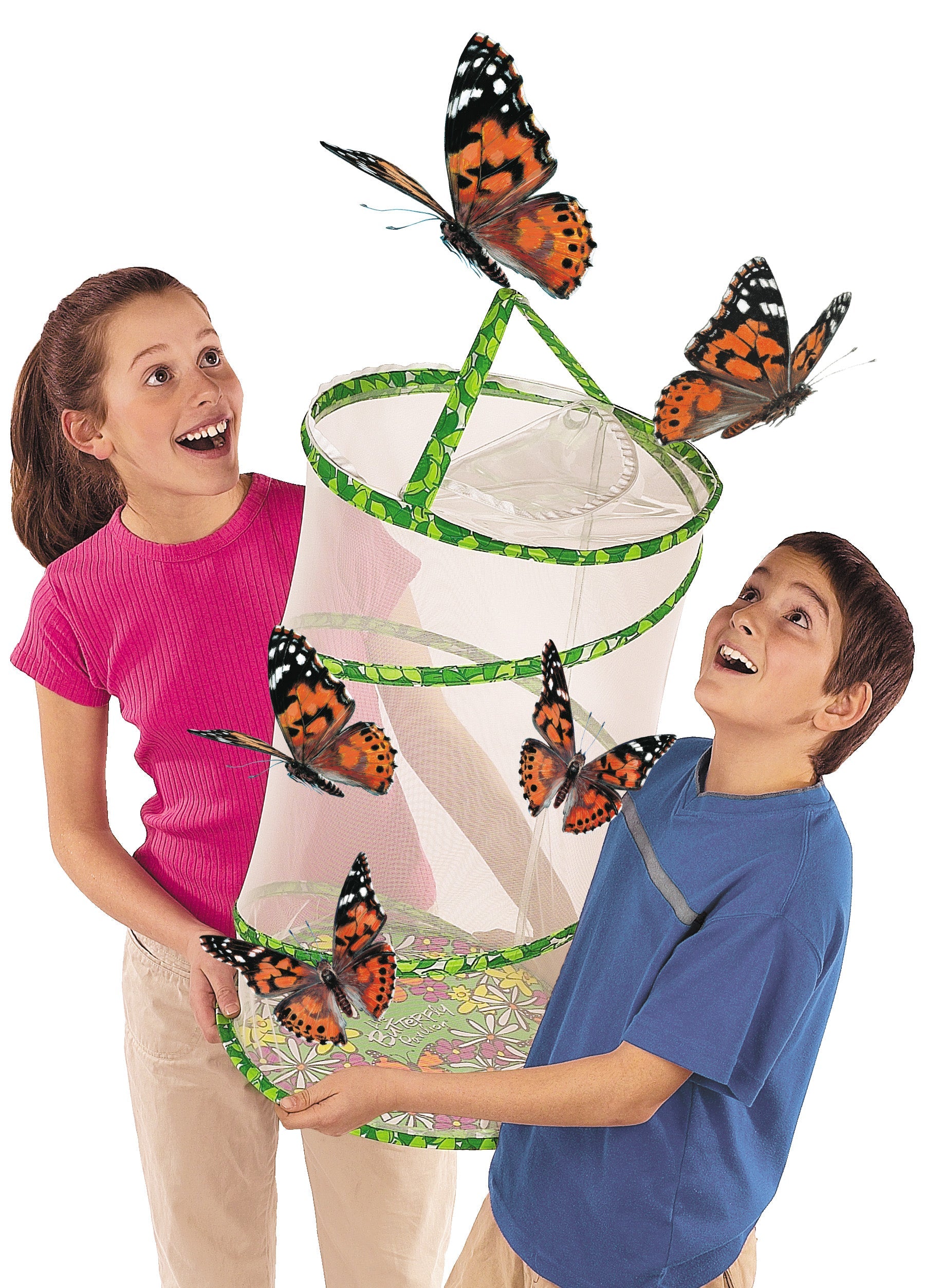 Classroom Butterfly Set