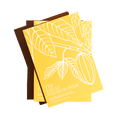 The Cacao Coloring Book By Dawn Dean