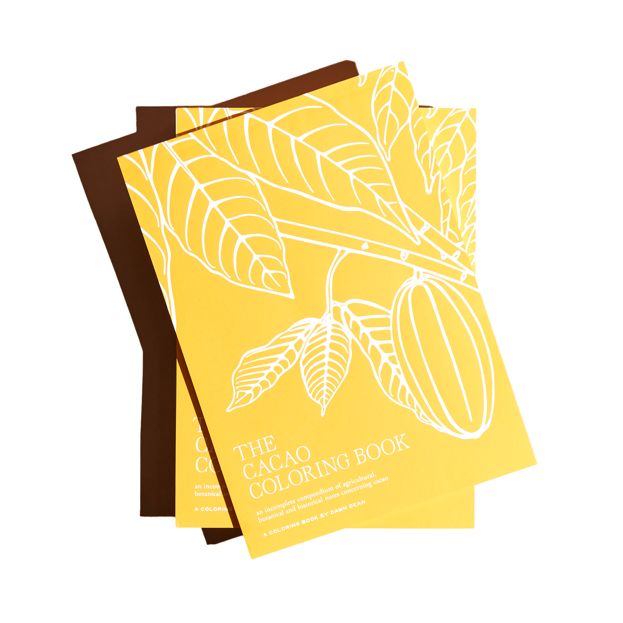 The Cacao Coloring Book By Dawn Dean