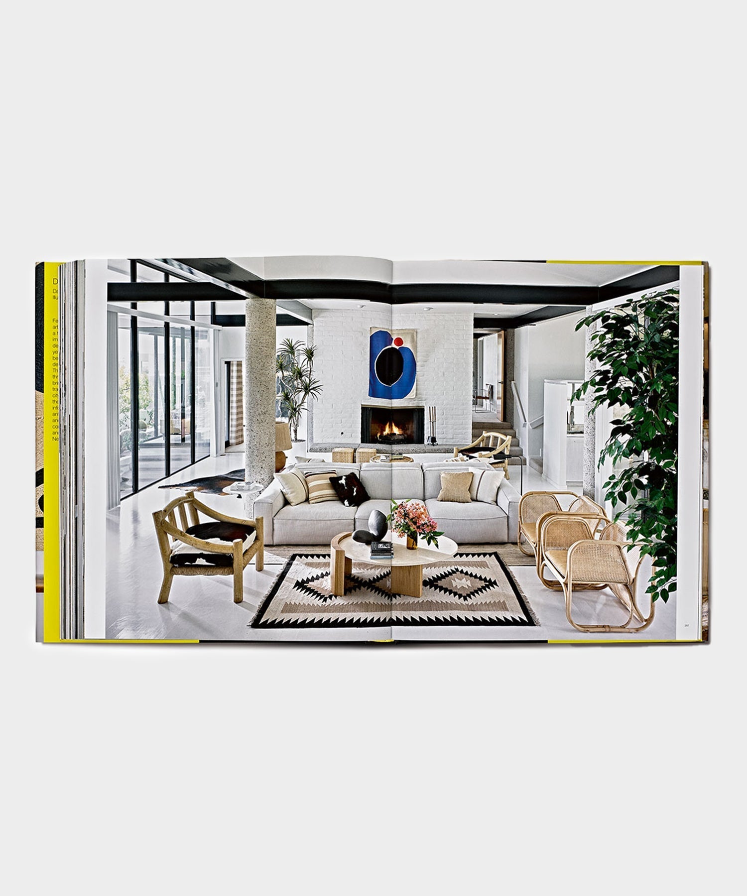 Phaidon "David Netto" Book