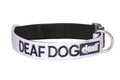 Deaf Dog Collar