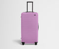 The Trunk in Taffy Purple