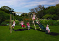 Plum Products Baboon Wooden Pole Activity Centre