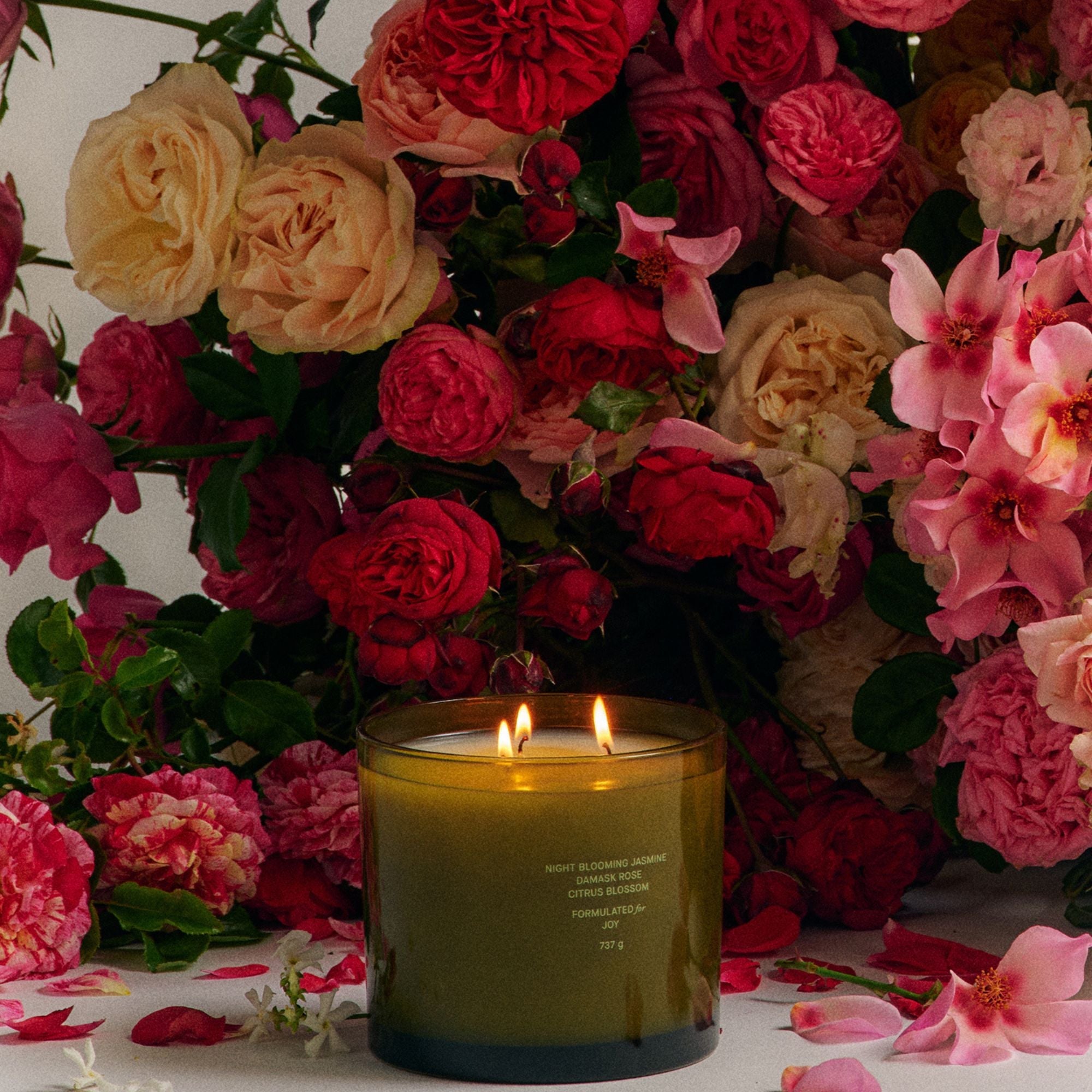 Night Blooming Jasmine & Damask Rose XL Candle