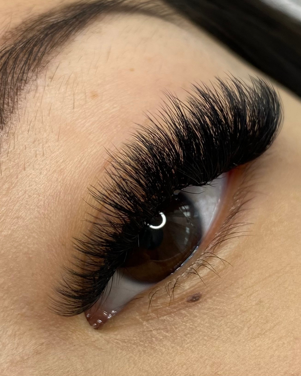 D-Curl Runway Eyelash Extensions (Single-Length Trays)
