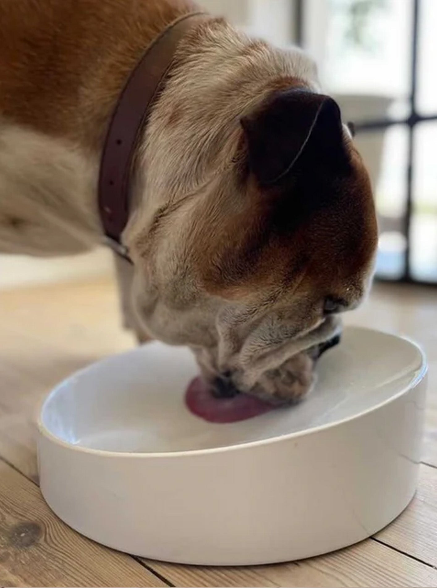 FLAT-FACED CERAMIC DOG BOWL