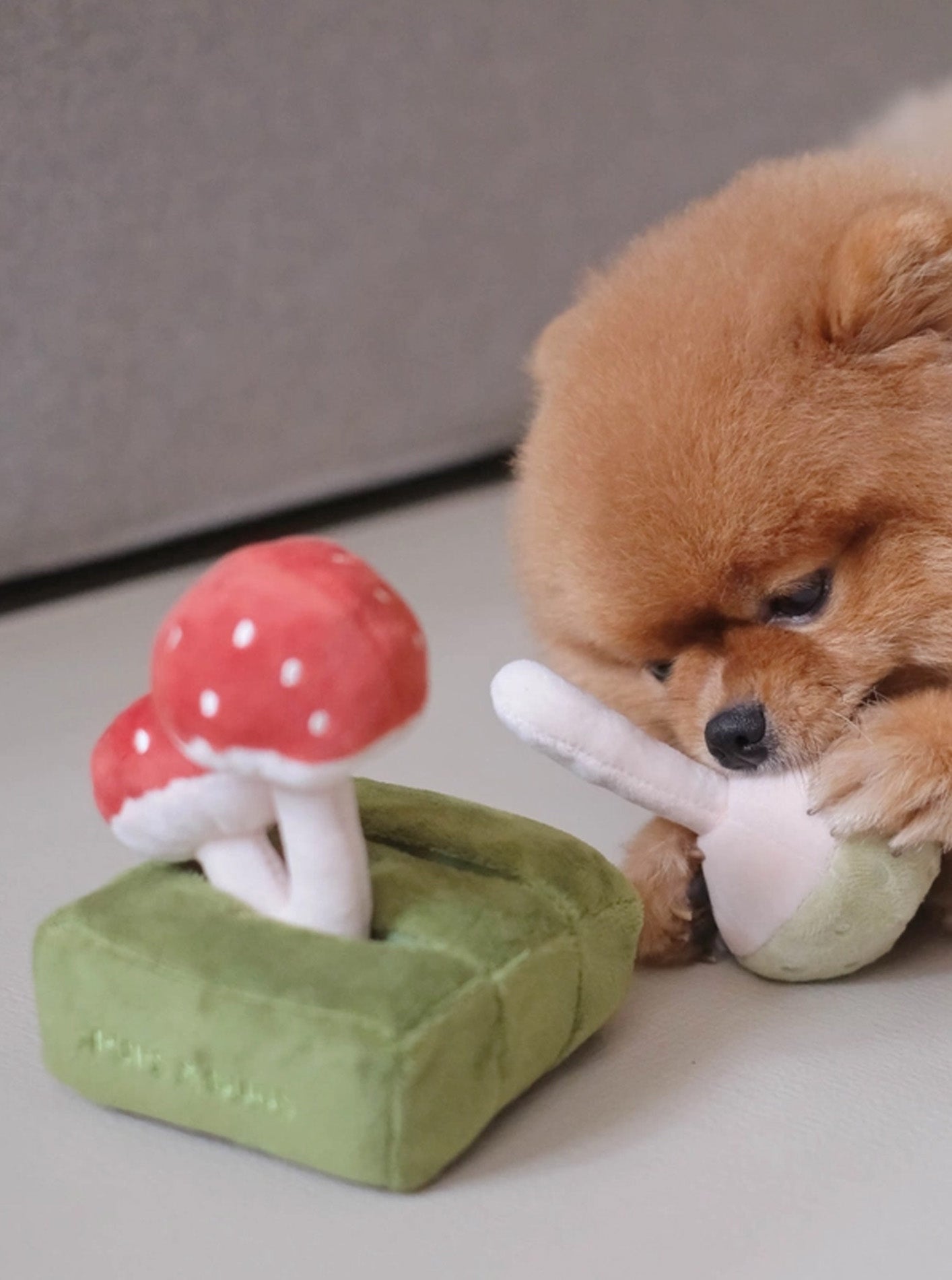 FOREST MUSHROOM NOSEWORK DOG TOY