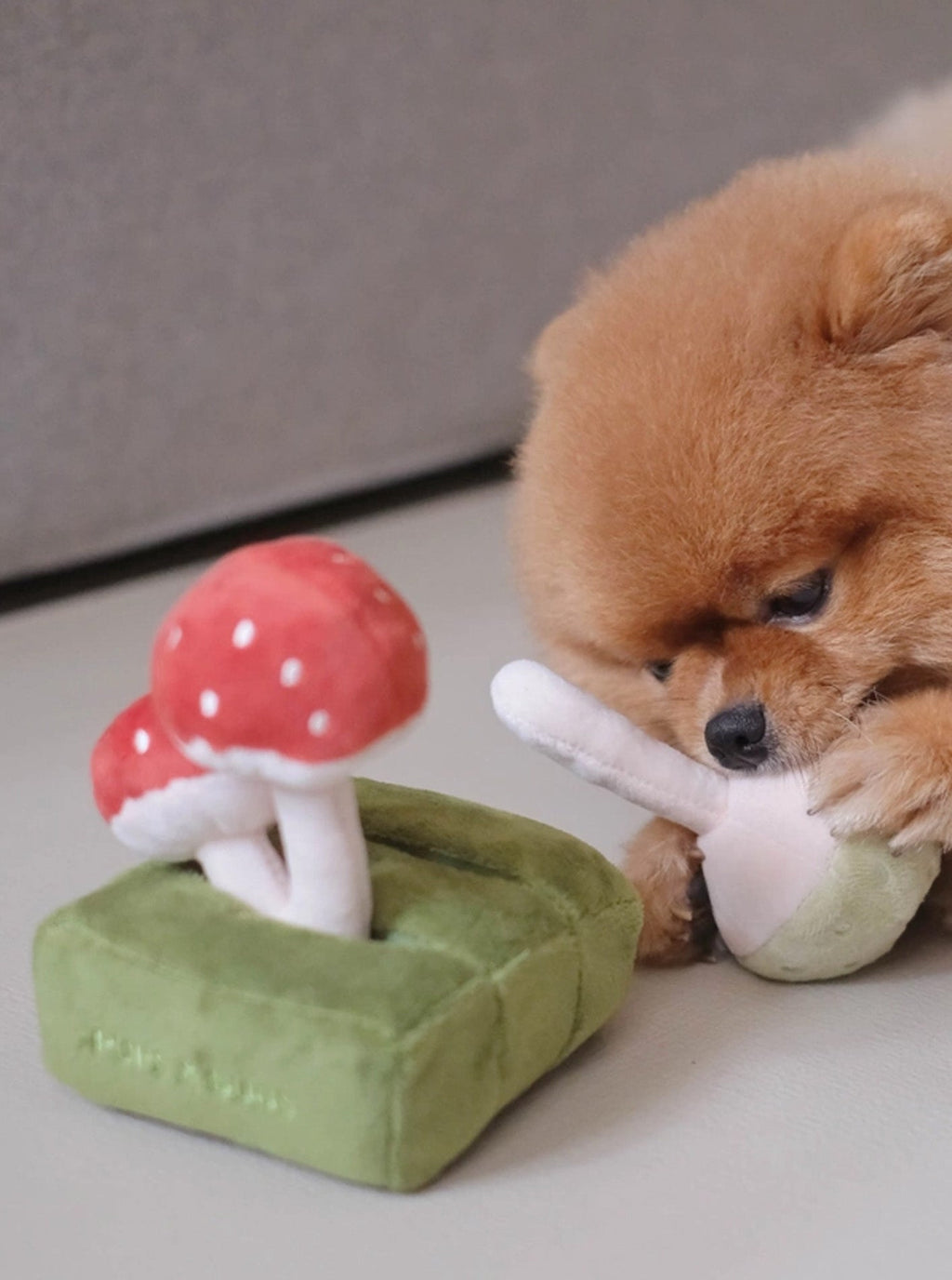 FOREST MUSHROOM NOSEWORK DOG TOY