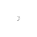Crystal Moon Stud Silver