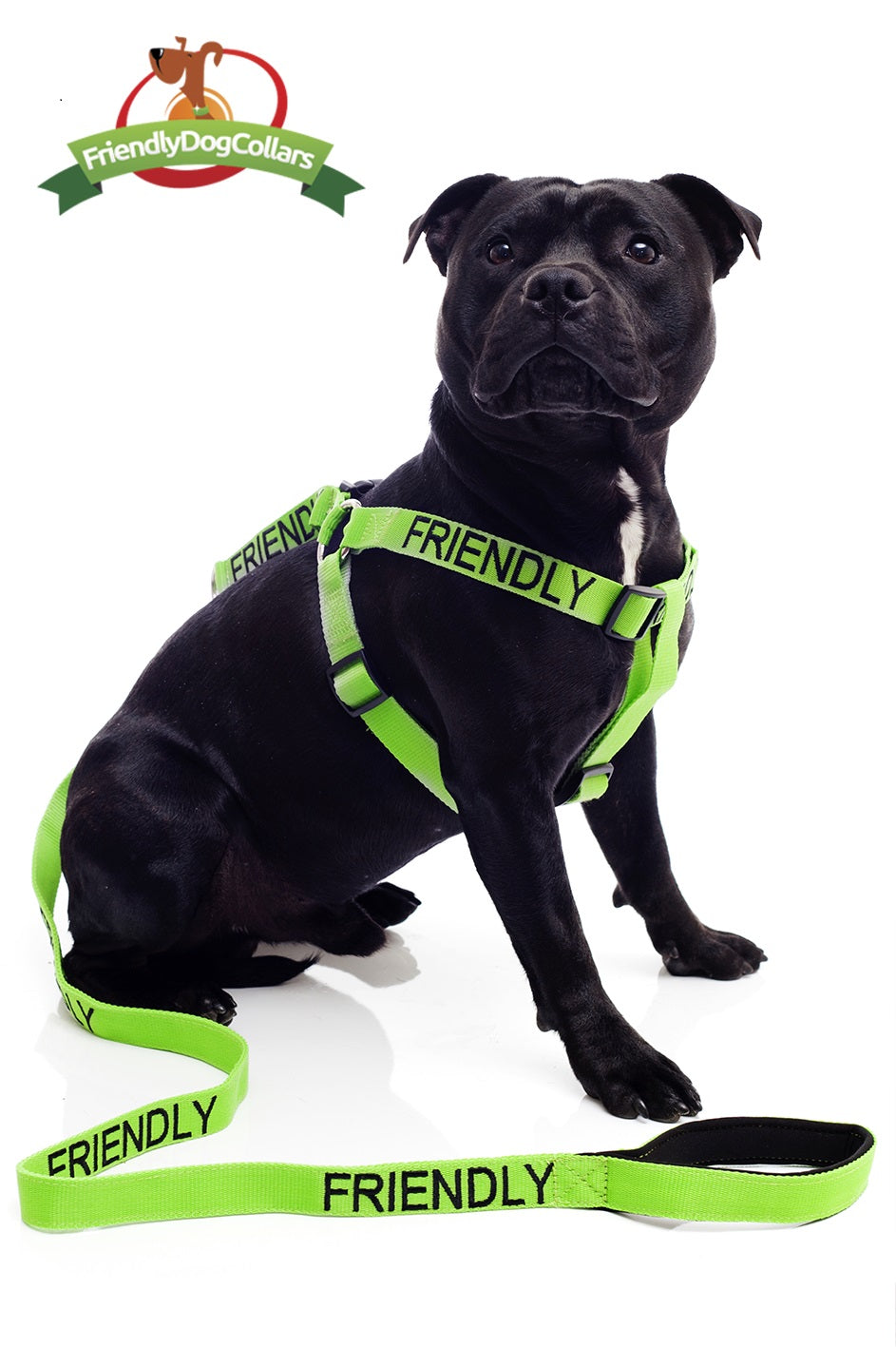 Service Dog Lead and Strap Harness