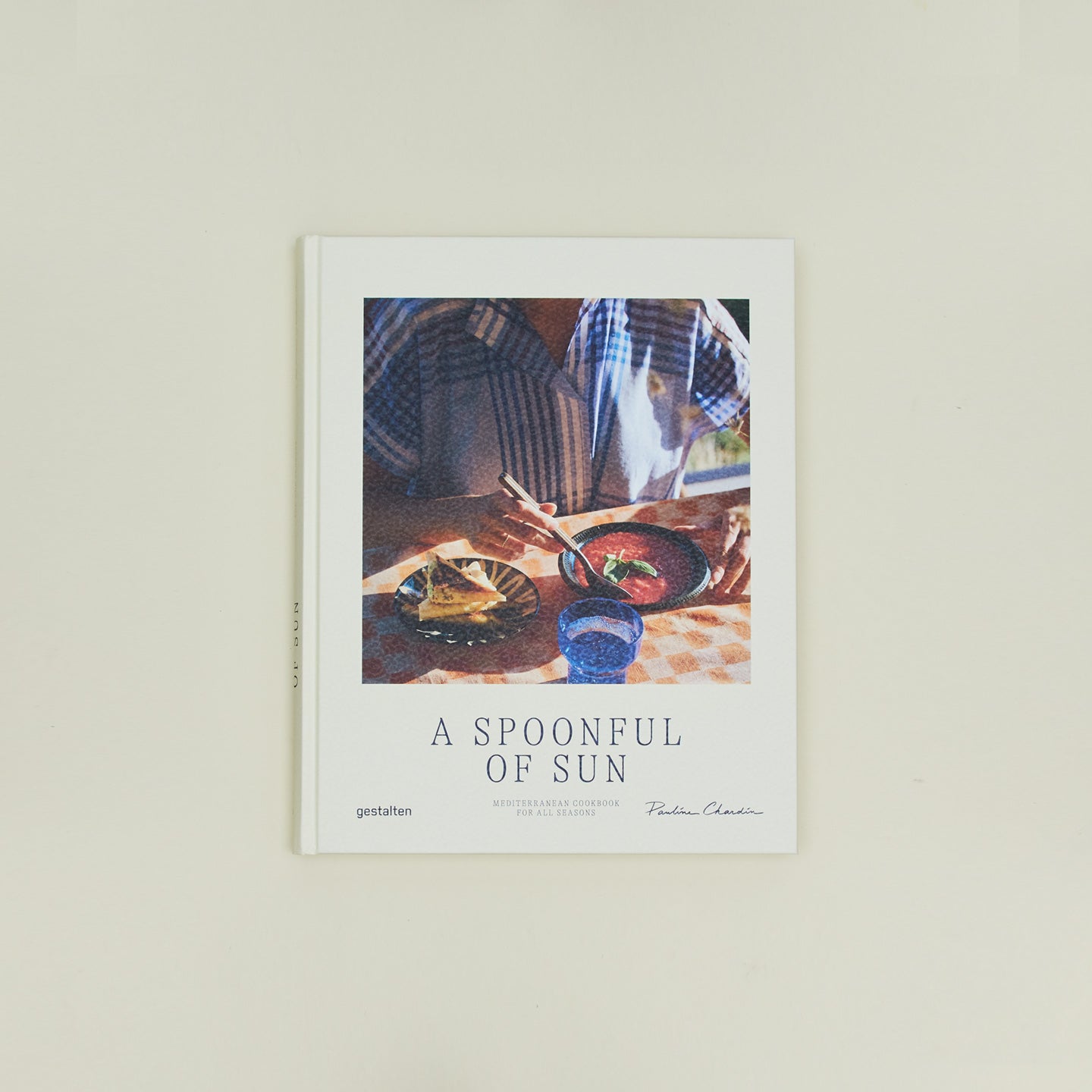 A Spoonful of Sun Book