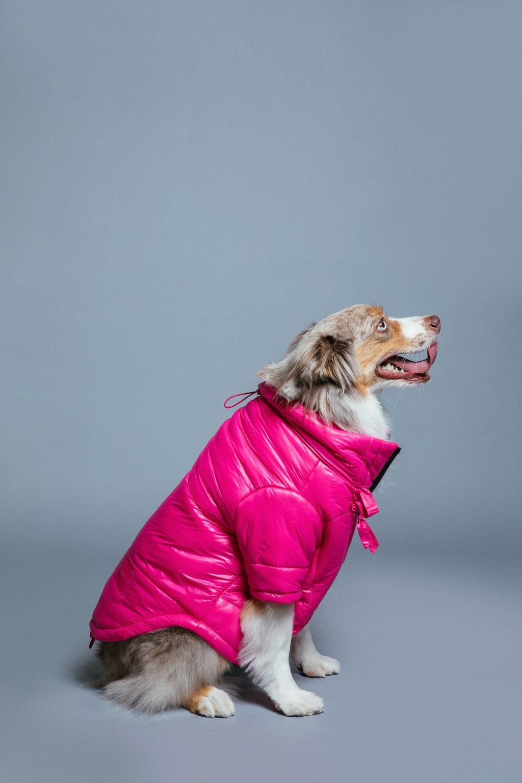 Glossy Puffer Jacket