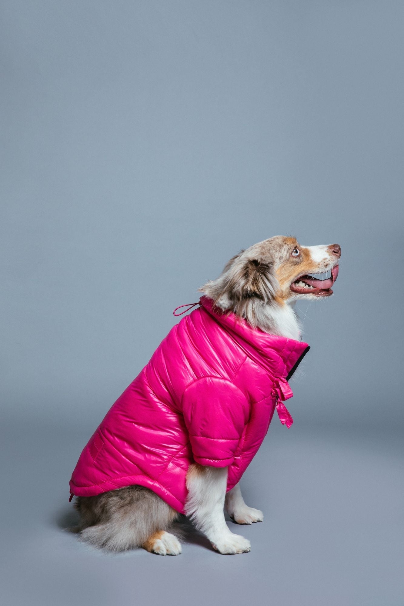 Glossy Puffer Jacket