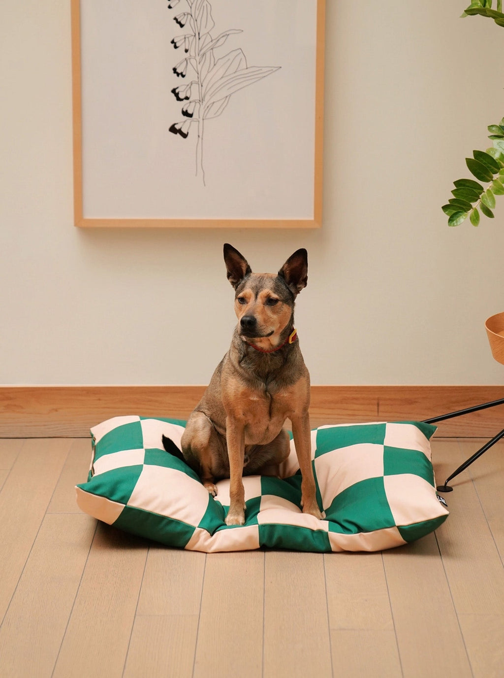 THE FRITZ DOG BED