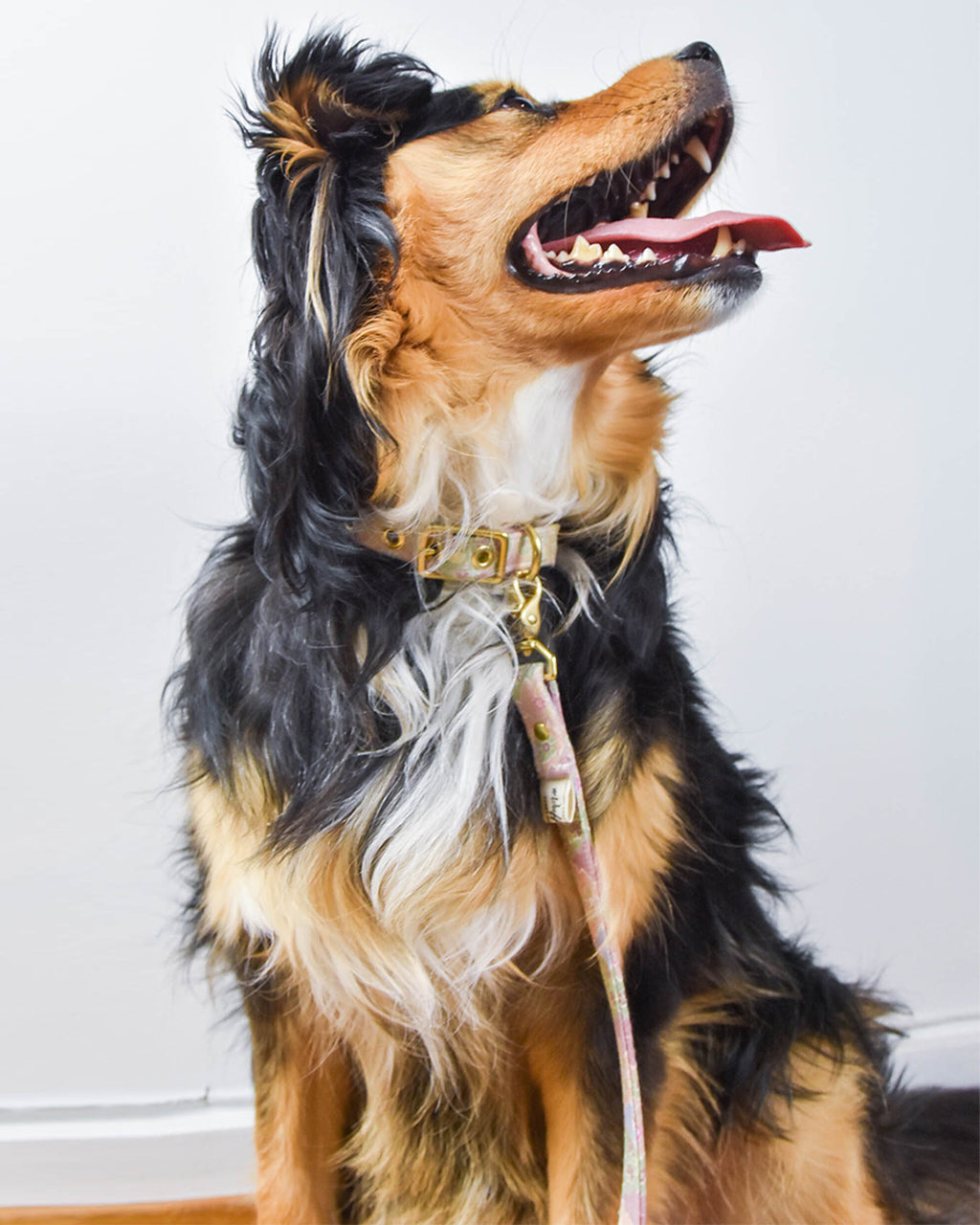 FLORAL PASTEL LEASH by Honey Paws