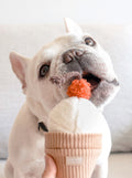 ICE CREAM POP ENRICHMENT DOG TOY
