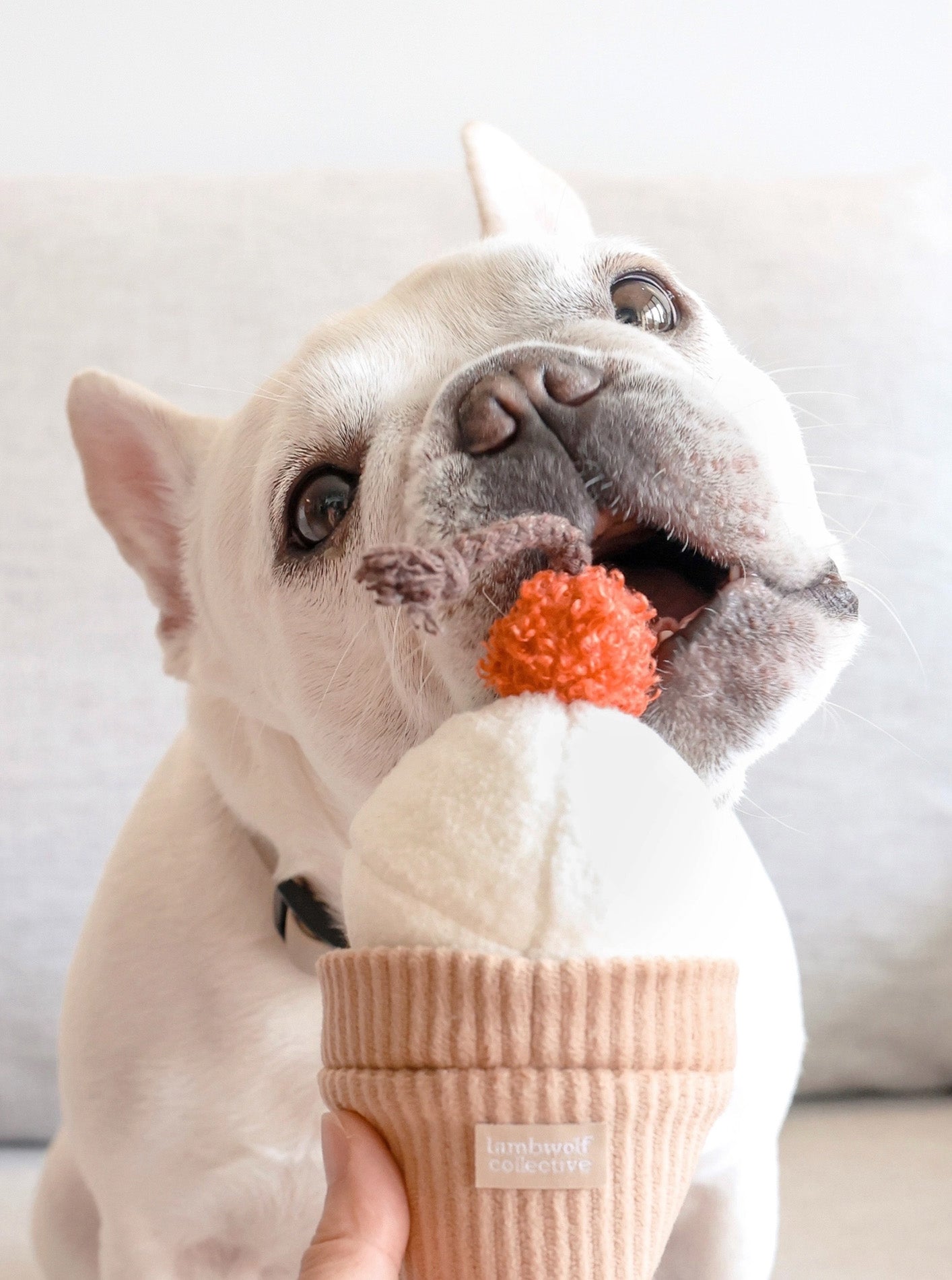 ICE CREAM POP ENRICHMENT DOG TOY