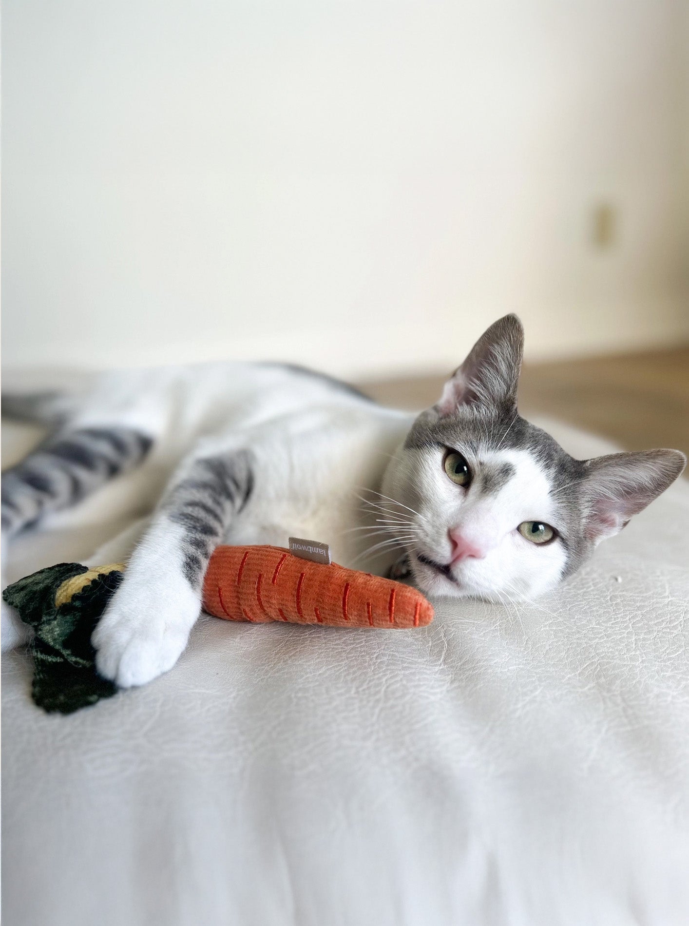 KITTY BABY CARROTS