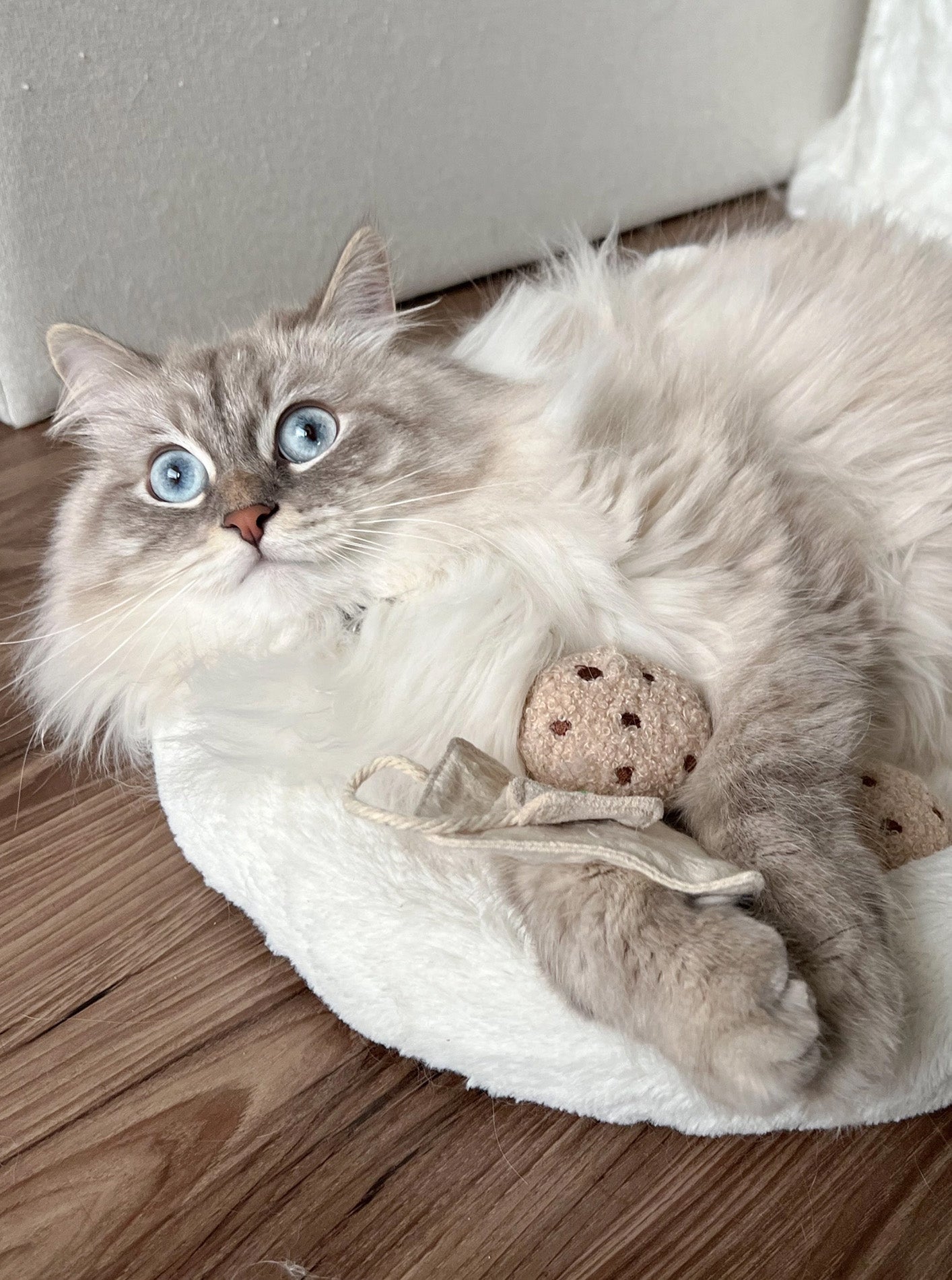 KITTY TEA TIME