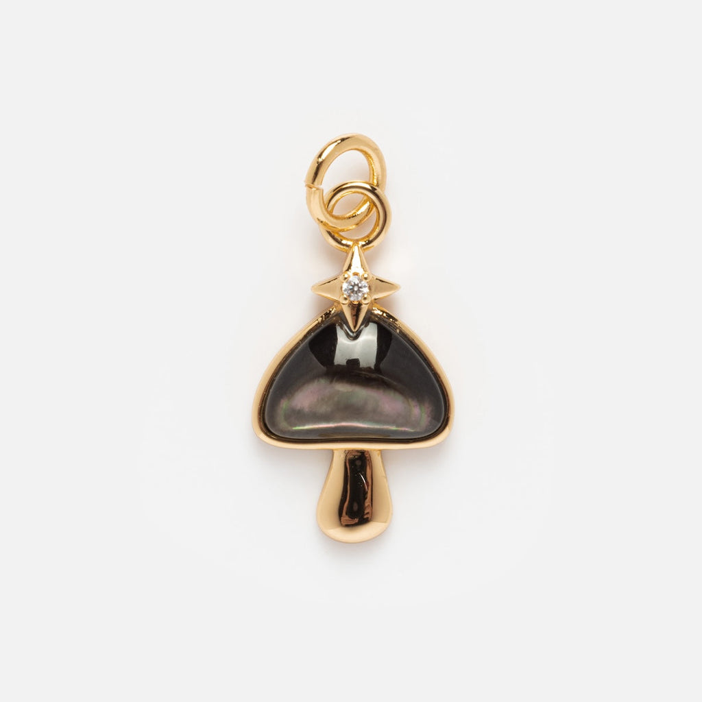 Charms by Elizabeth Stone