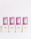 Lilac Haze Collection Bundle