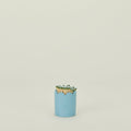 Scalloped Match Striker - Baby Blue