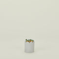 Scalloped Match Striker - Grey