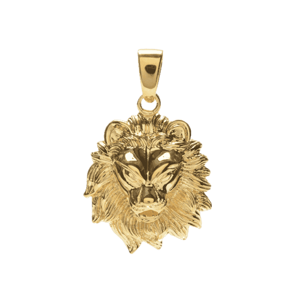 Lion Micro