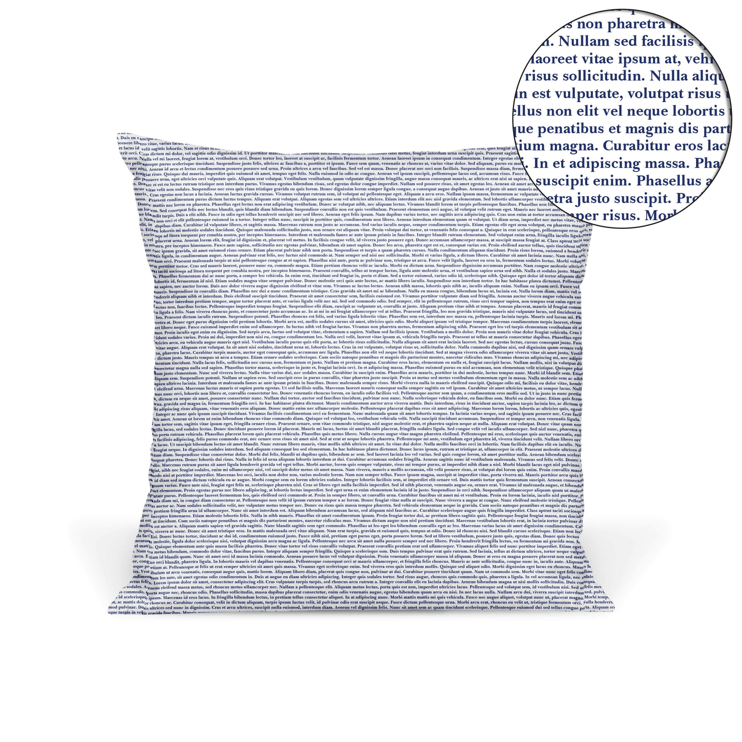 Custom Pillow