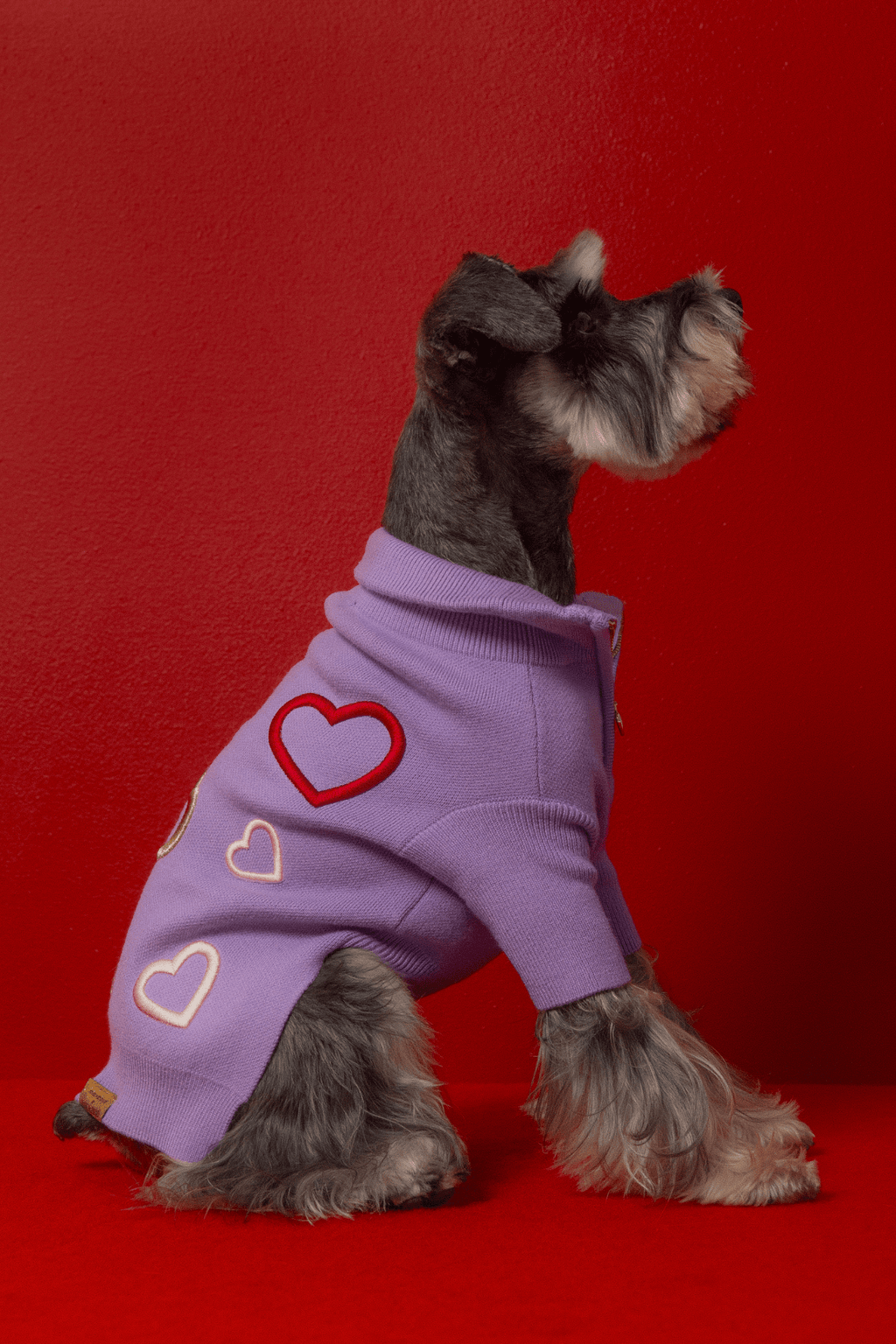 Love Is Blind x maxbone Jumper