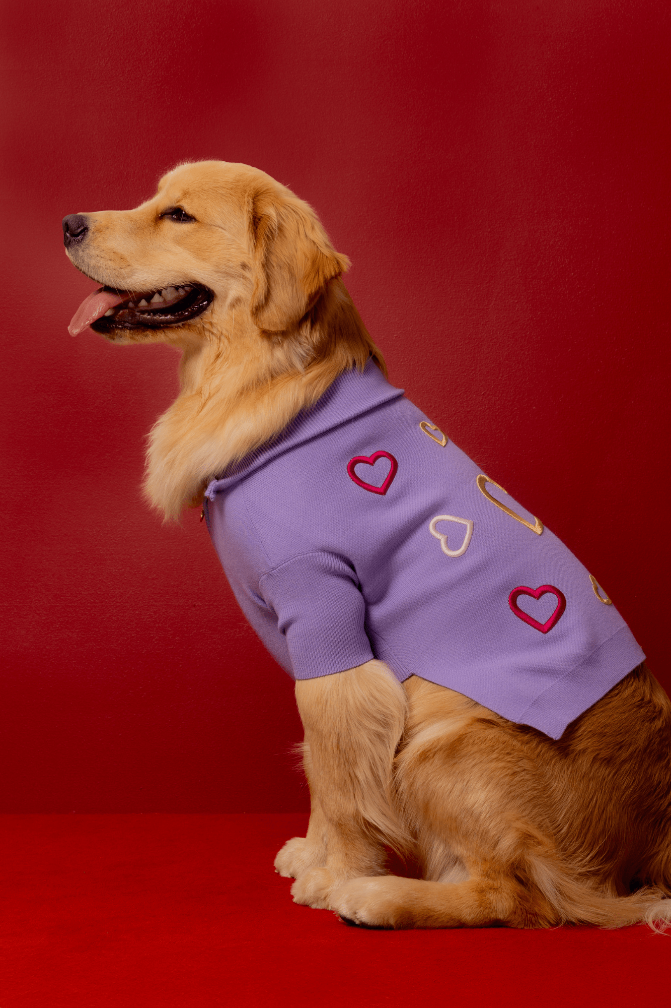 Love Is Blind x maxbone Jumper