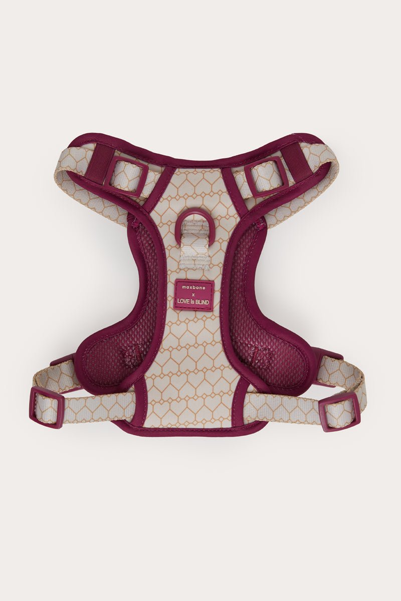 Love Is Blind x maxbone Walk Set