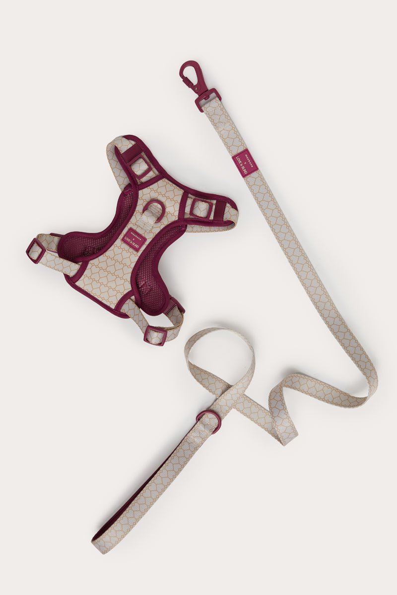 Love Is Blind x maxbone Walk Set