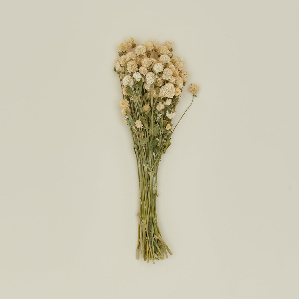 Dried Amaranth