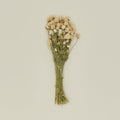 Dried Amaranth