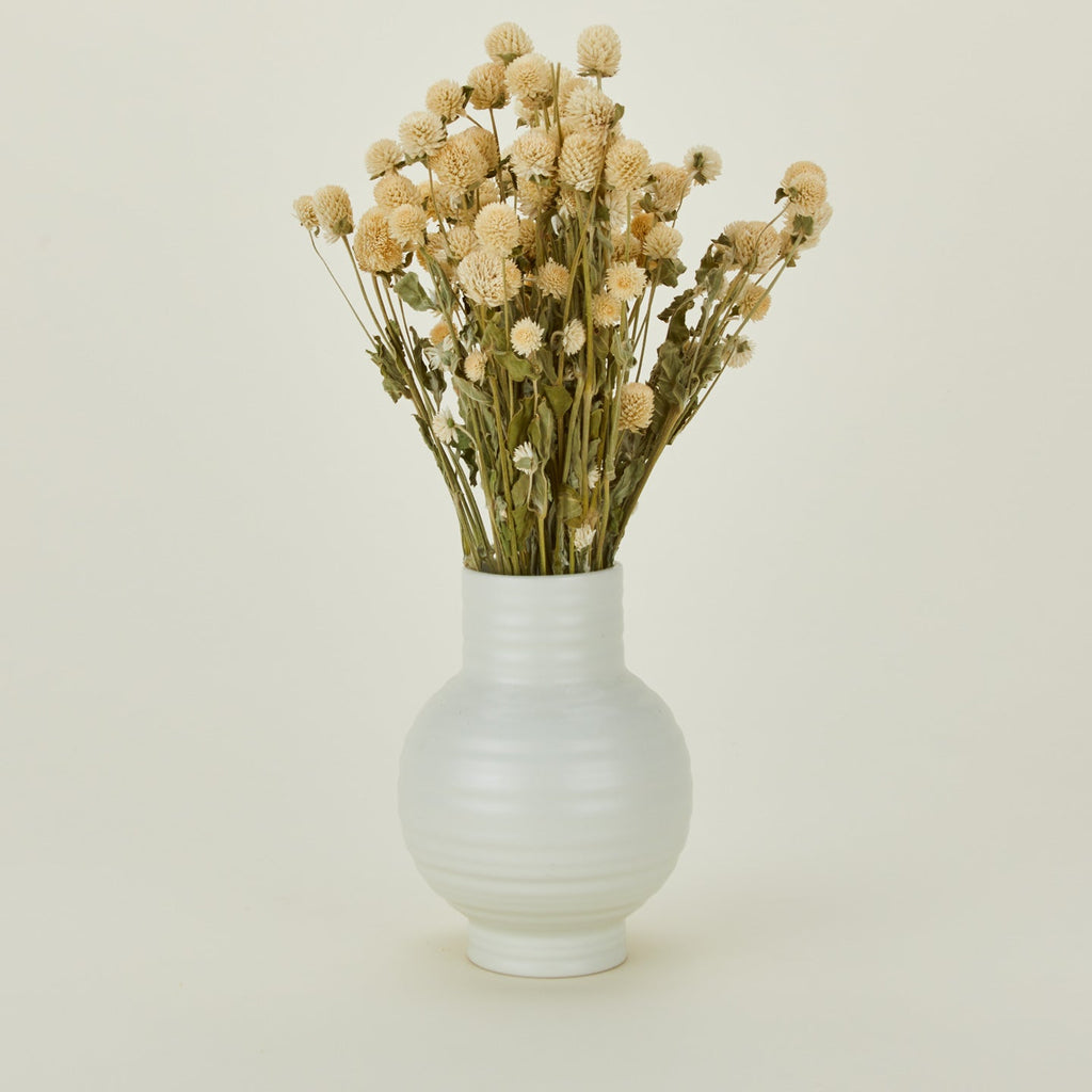 Dried Amaranth