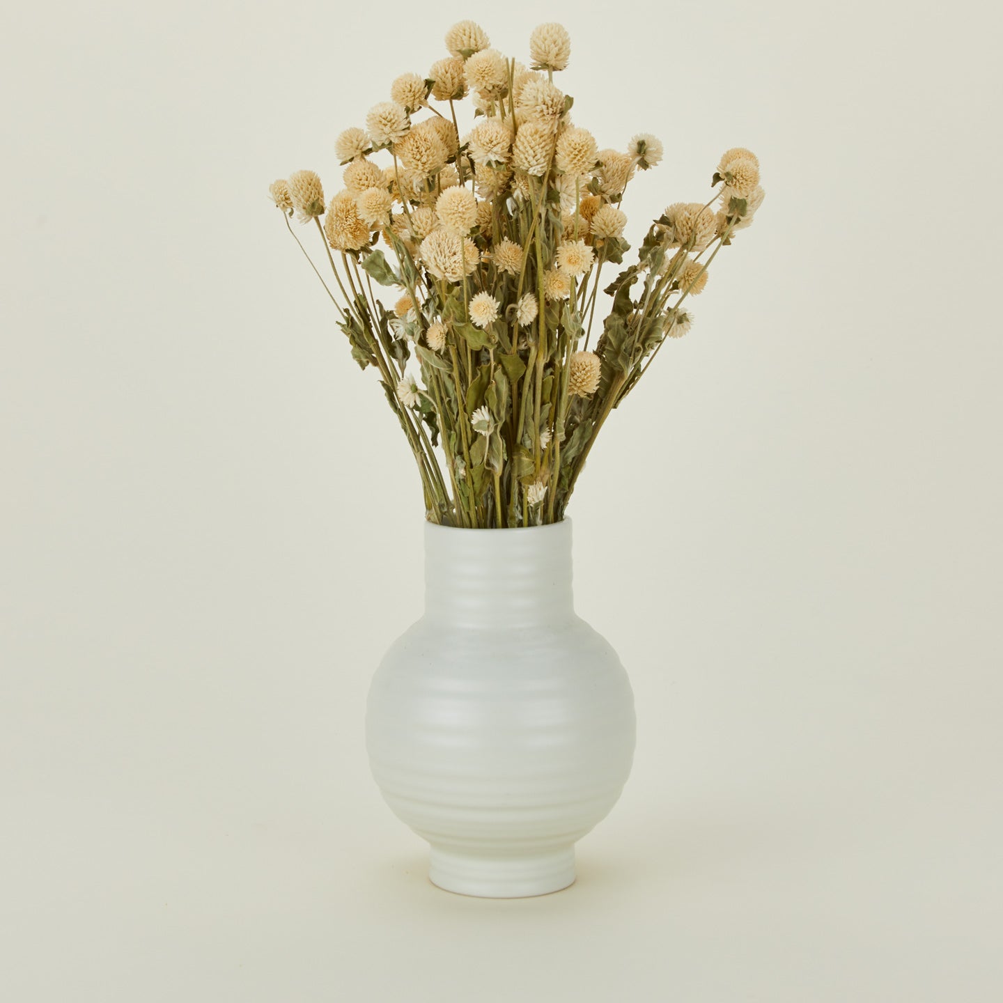 Dried Amaranth