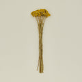 Dried Yarrow