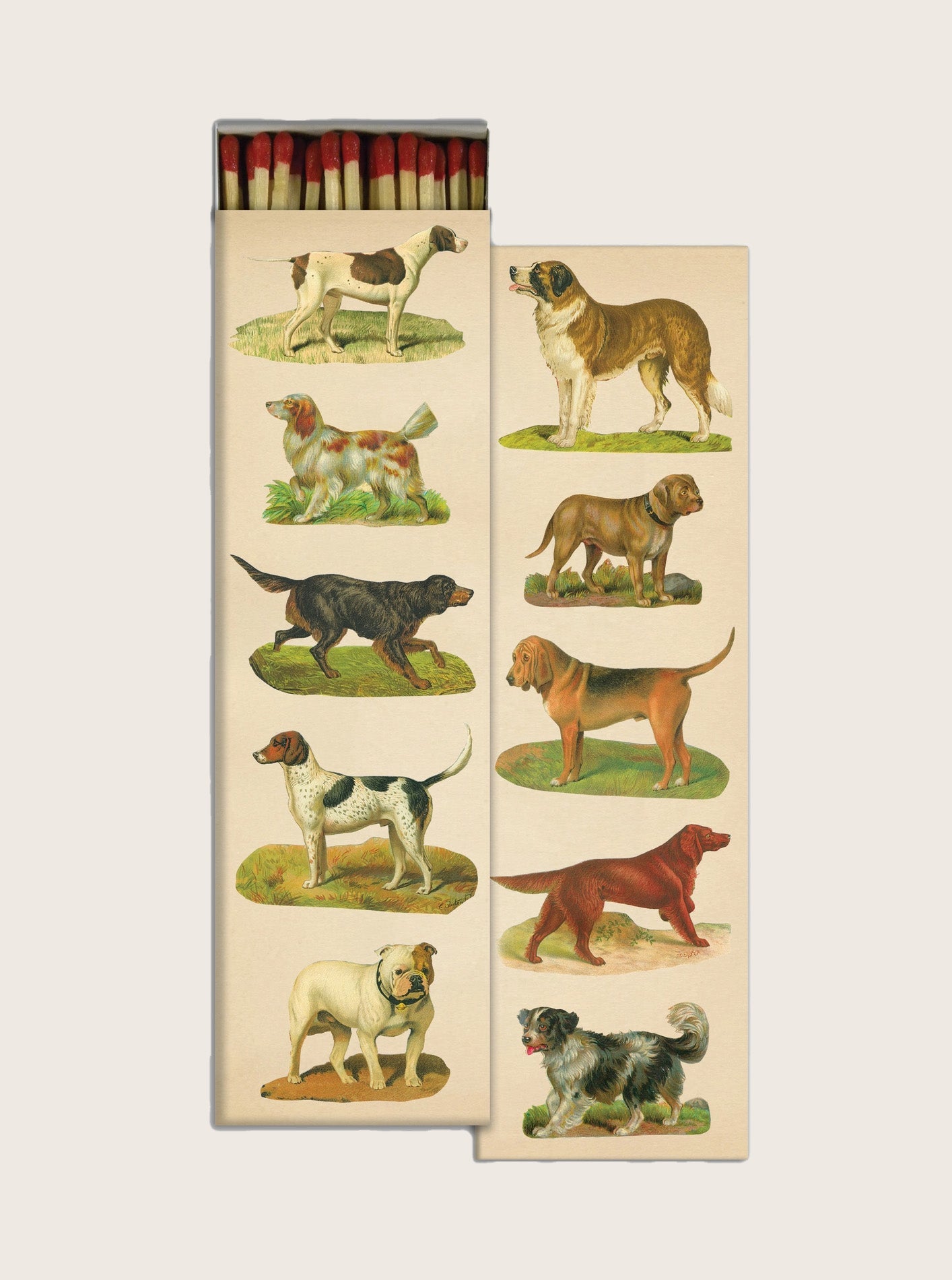 DOG COLLAGE MATCHES